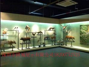 廣州供銷博物館展示柜與會務服務融合創新探索